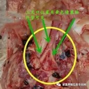 全國多地呼吸道又頻發(fā)？（雨天較多易感染）!